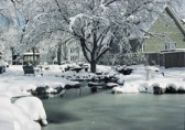 Pond Winter Preparation