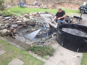 Spring Pond Maintenance